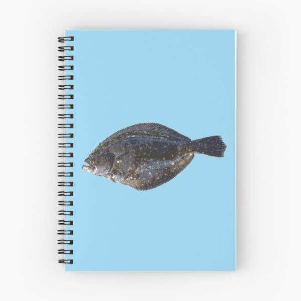 Item preview, Summer Flounder (Fluke) Color Print  designed and sold by designsasstultd.