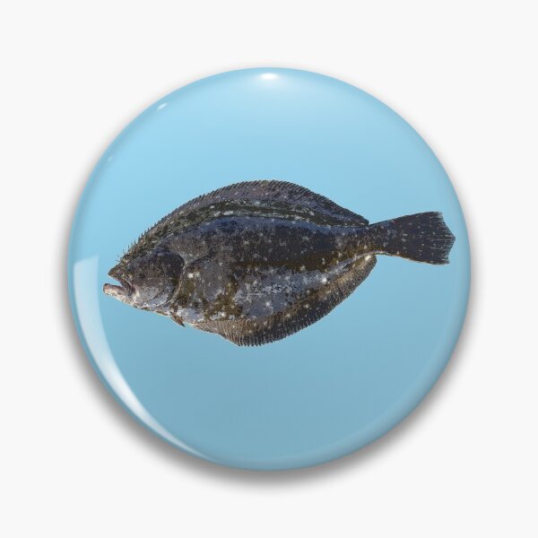 Item preview, Summer Flounder (Fluke) Color Print  designed and sold by designsasstultd.