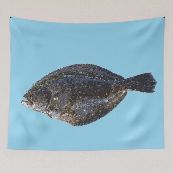 Item preview, Summer Flounder (Fluke) Color Print  designed and sold by designsasstultd.
