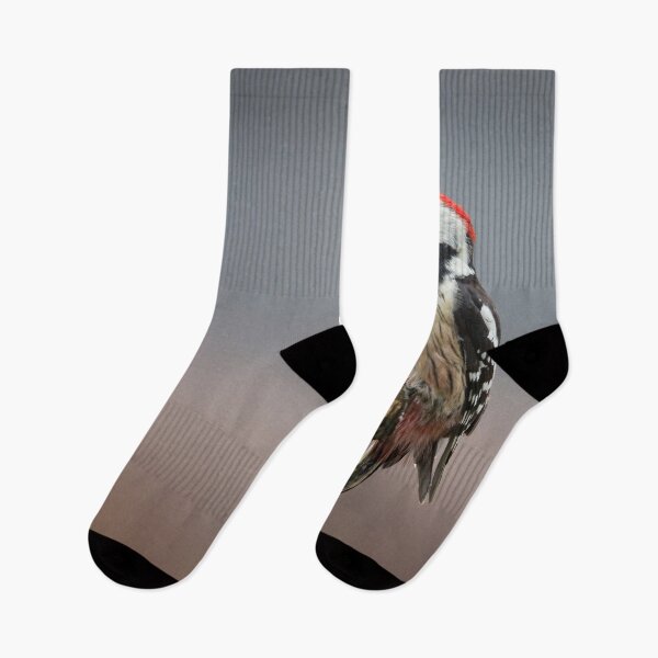 Item preview, Middle Spotted Woodpecker #2 designed and sold by Dominika Aniola.