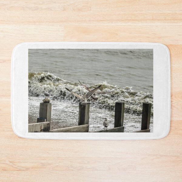 Item preview, Seagulls designed and sold by Seashorepics.