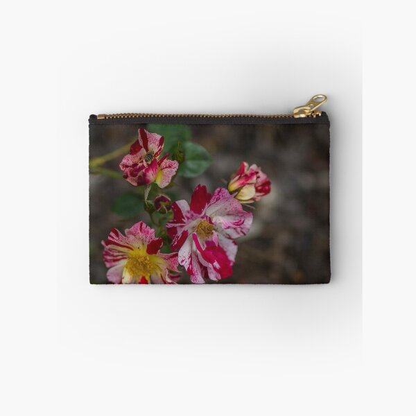 Item preview, Great colours designed and sold by Froggie.