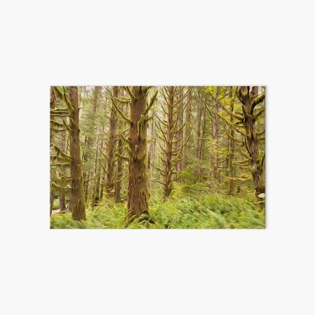 Free Images : green, mountain, vegetation, tropical and subtropical  coniferous forests, jungle, natural environment, nature reserve, rainforest,  natural landscape, biome, valdivian temperate rain forest, old growth  forest, hill station, terrestrial