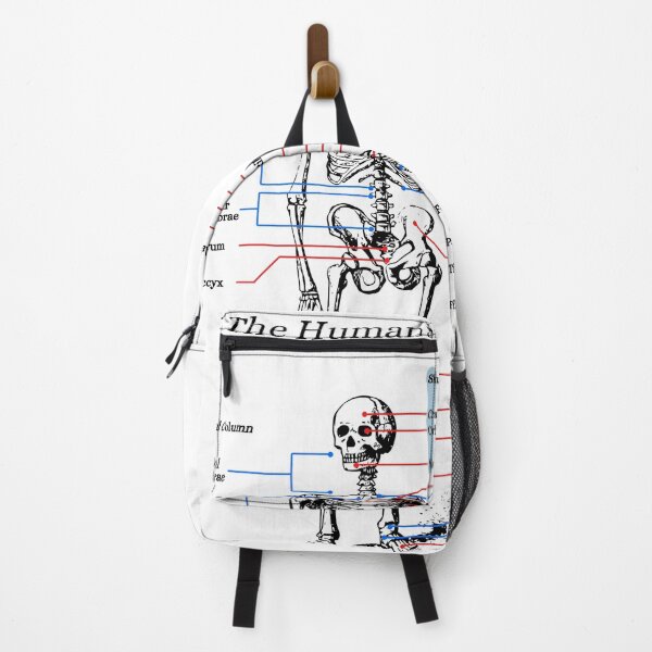 Item preview, The Human Skeleton, anatomy, vintage designed and sold by DeVeauDesign.