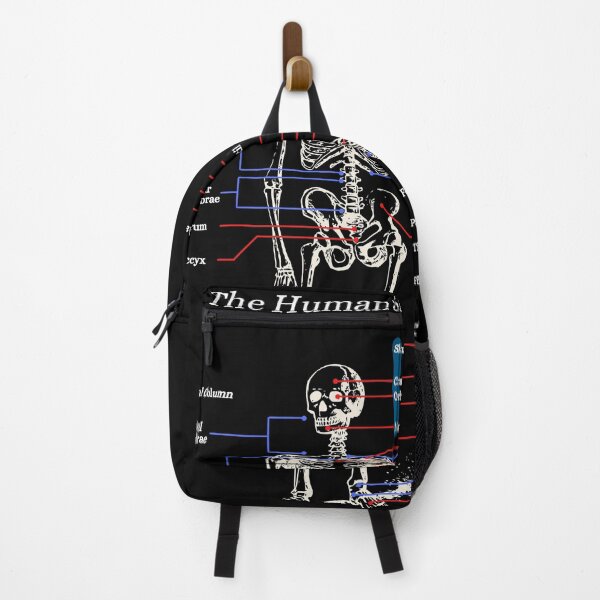 Item preview, The Human Skeleton, anatomy, vintage, 2 designed and sold by DeVeauDesign.