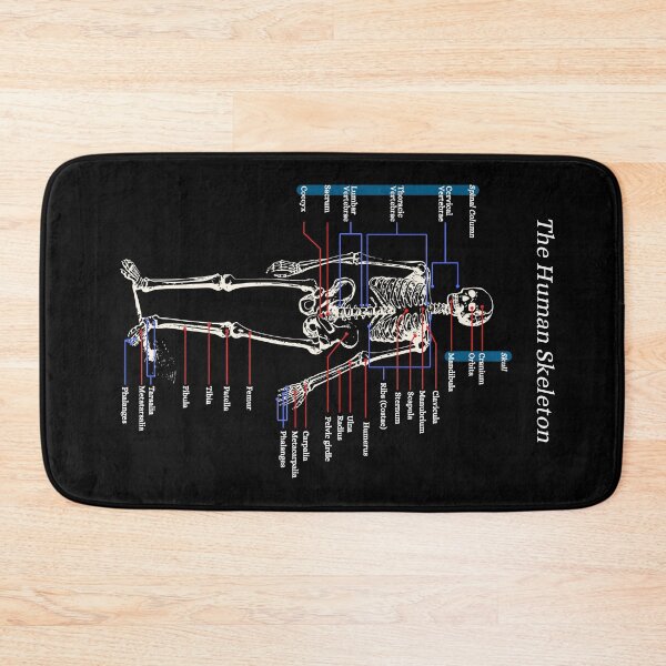 Item preview, The Human Skeleton, anatomy, vintage, 2 designed and sold by DeVeauDesign.