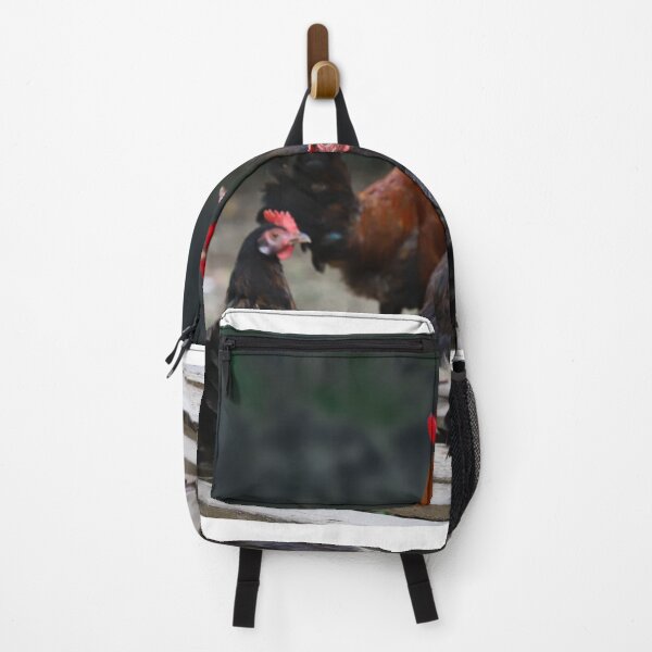 Item preview, Four black hens and a red cock designed and sold by FCEalin.