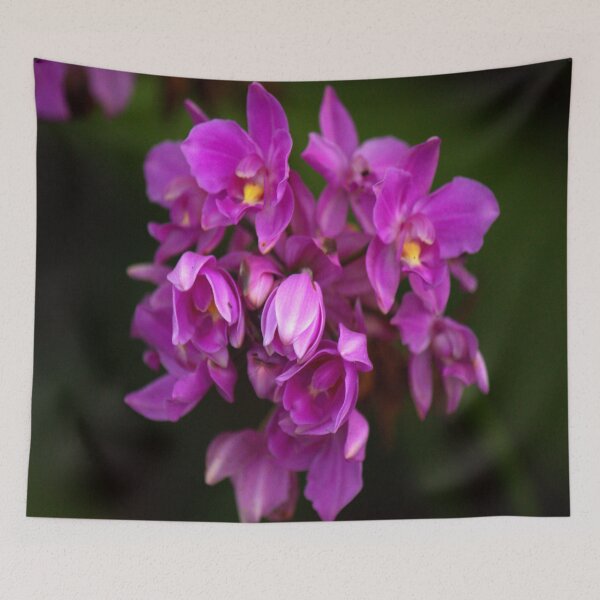 Item preview,  wild orchid designed and sold by funniesttext.