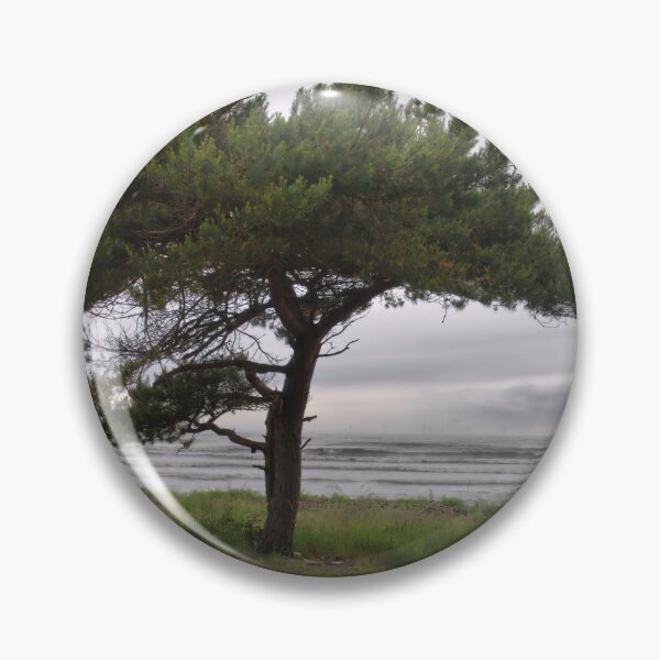 Item preview, Pine by the sea designed and sold by Jouko Lehto Photography.
