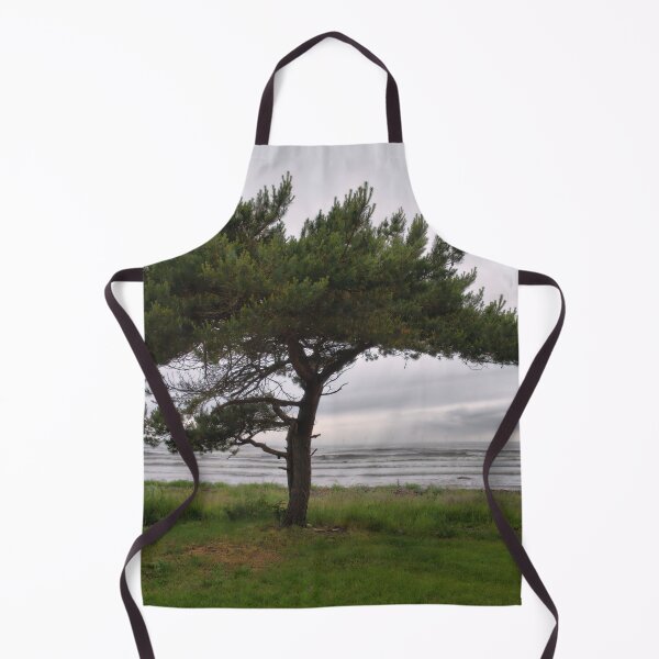 Item preview, Pine by the sea designed and sold by Jouko Lehto Photography.