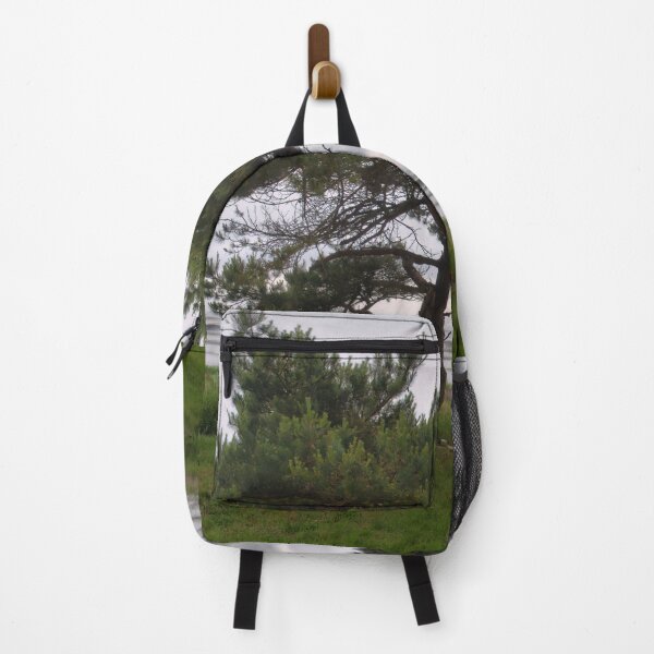 Item preview, Pine by the sea designed and sold by Jouko Lehto Photography.