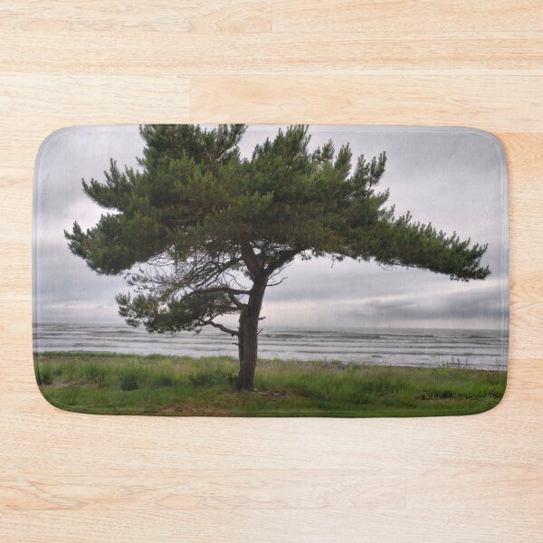 Item preview, Pine by the sea designed and sold by Jouko Lehto Photography.