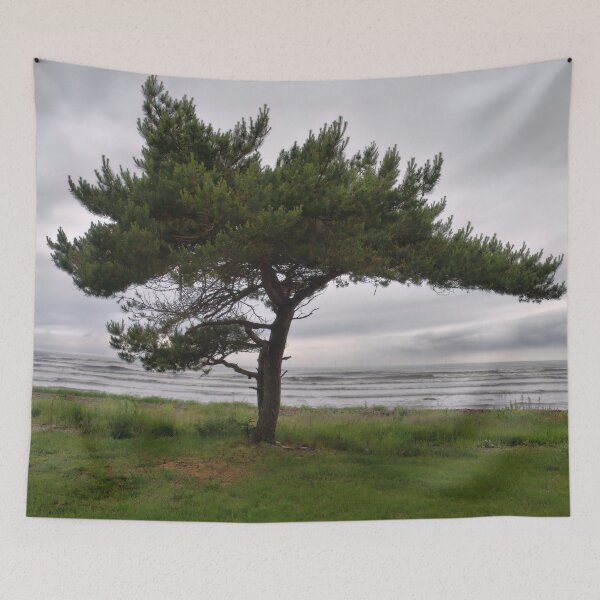 Item preview, Pine by the sea designed and sold by Jouko Lehto Photography.