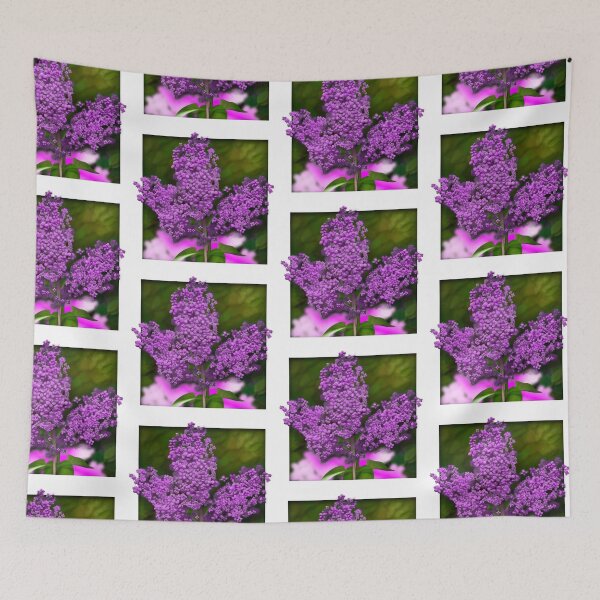 Item preview, Lila morado designed and sold by DesertG.