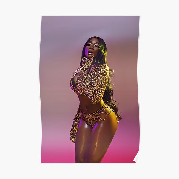 Megan Thee Stallion Poster