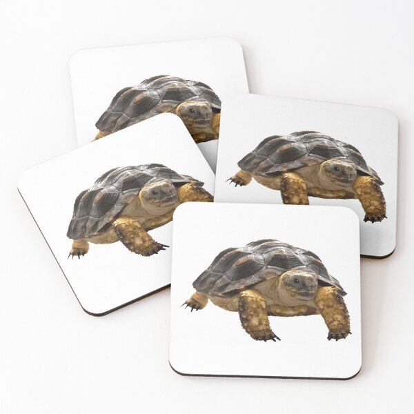 Item preview, Turtle designed and sold by DoodleDashCollective.