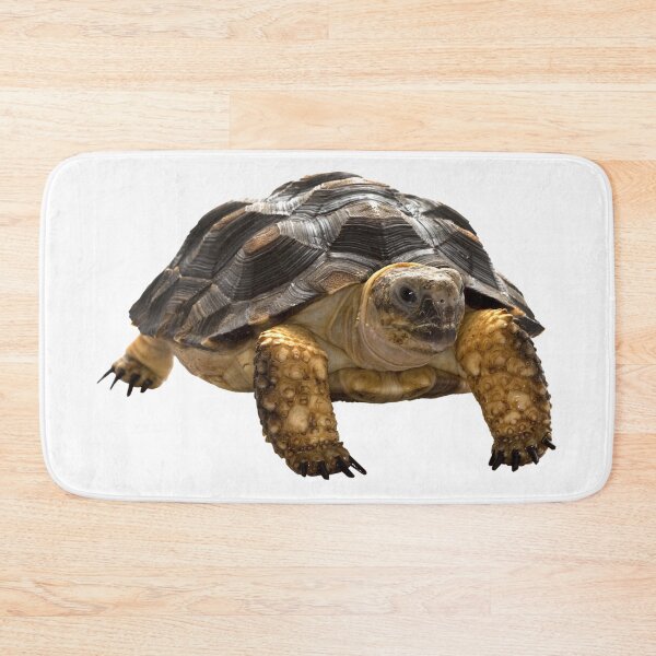 Item preview, Turtle designed and sold by DoodleDashCollective.