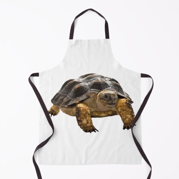 Item preview, Turtle designed and sold by DoodleDashCollective.