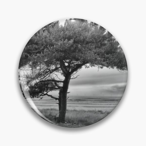 Item preview, Pine by the sea bw designed and sold by Jouko Lehto Photography.