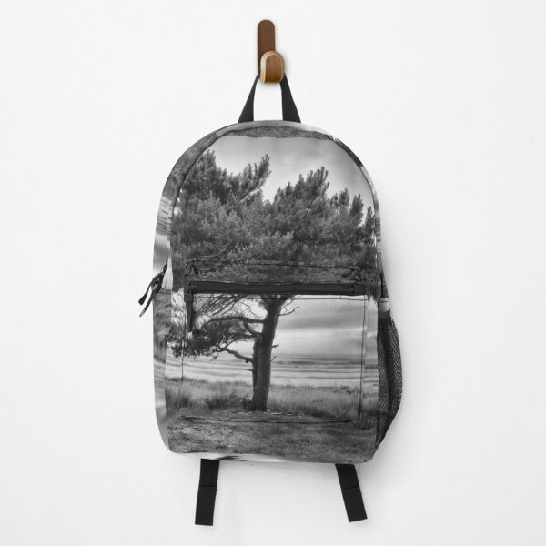 Item preview, Pine by the sea bw designed and sold by Jouko Lehto Photography.