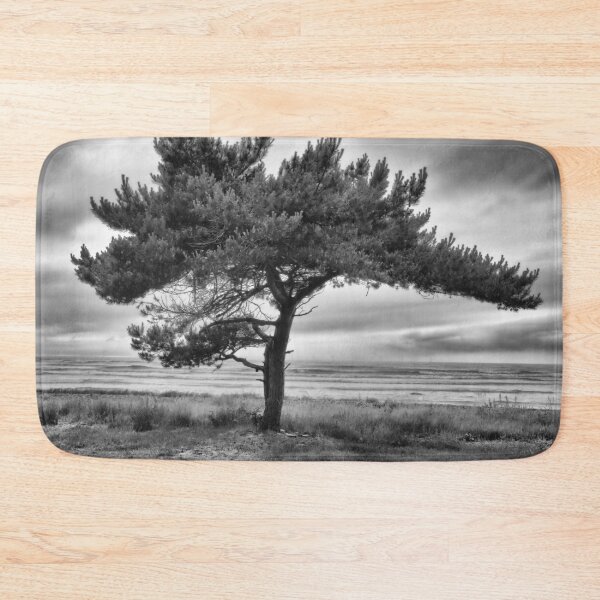 Item preview, Pine by the sea bw designed and sold by Jouko Lehto Photography.