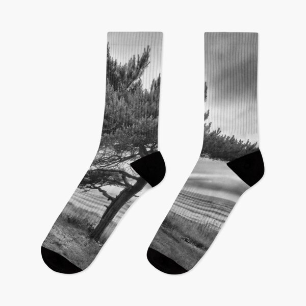 Item preview, Pine by the sea bw designed and sold by Jouko Lehto Photography.