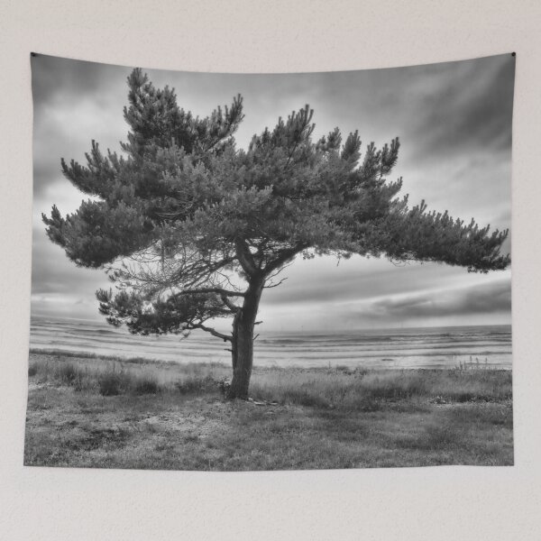Item preview, Pine by the sea bw designed and sold by Jouko Lehto Photography.