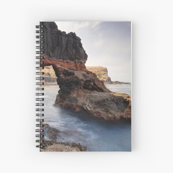 Spiral Notebook