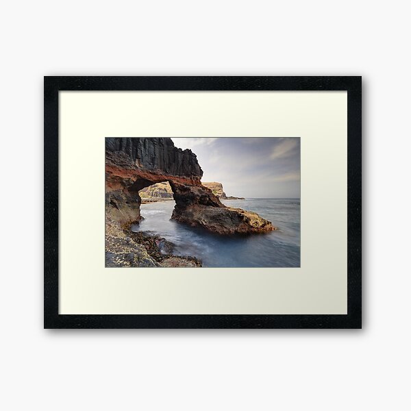 Framed Print