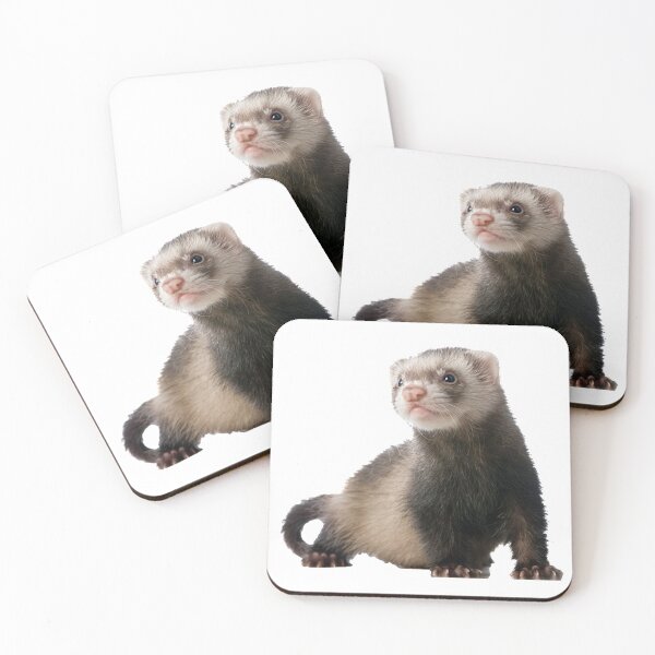 Item preview, Ferret designed and sold by DoodleDashCollective.