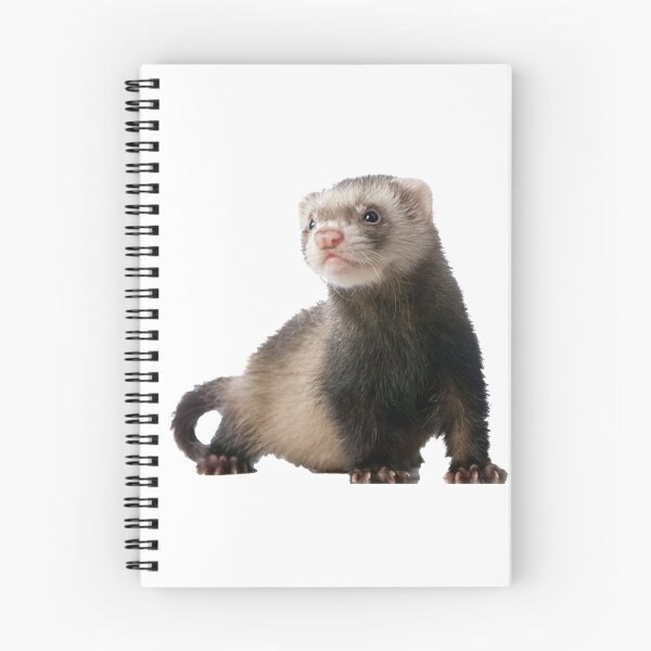 Item preview, Ferret designed and sold by DoodleDashCollective.