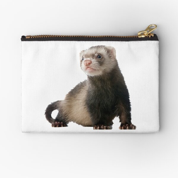 Ferret pouch top