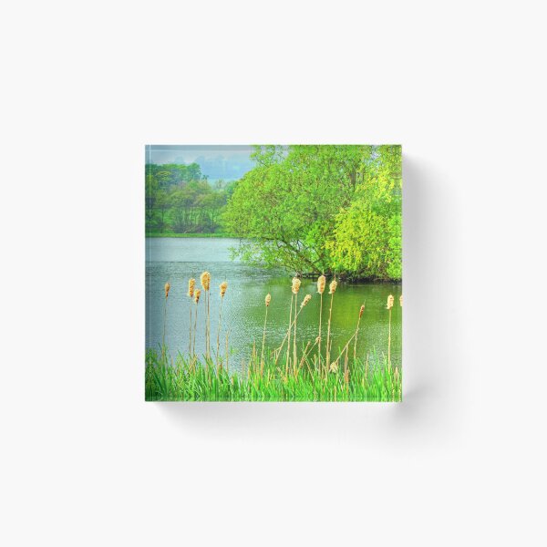 Item preview, Bullrushes designed and sold by tomg.