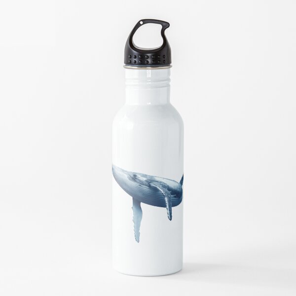 Whale Water Bottle