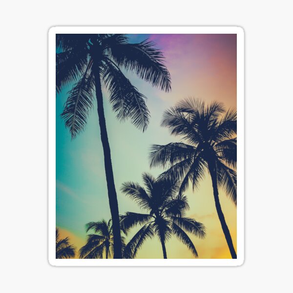 Palm Tree Dreams Sticker