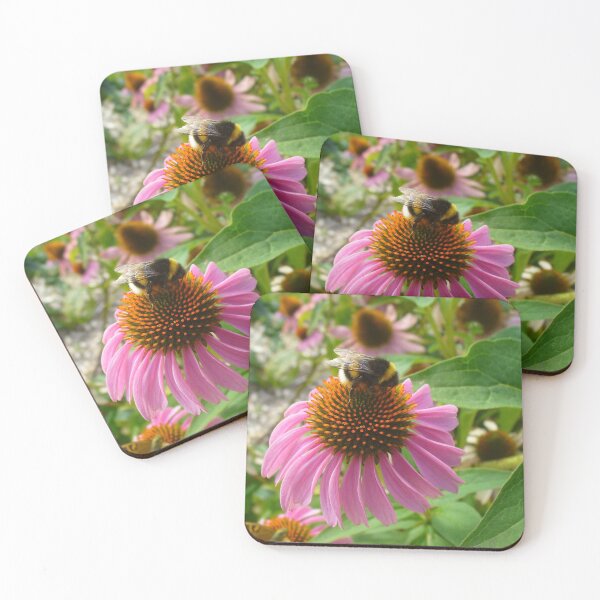 Artikelvorschau, Hummel auf Echinacea entworfen und verkauft von KaSaPo.
