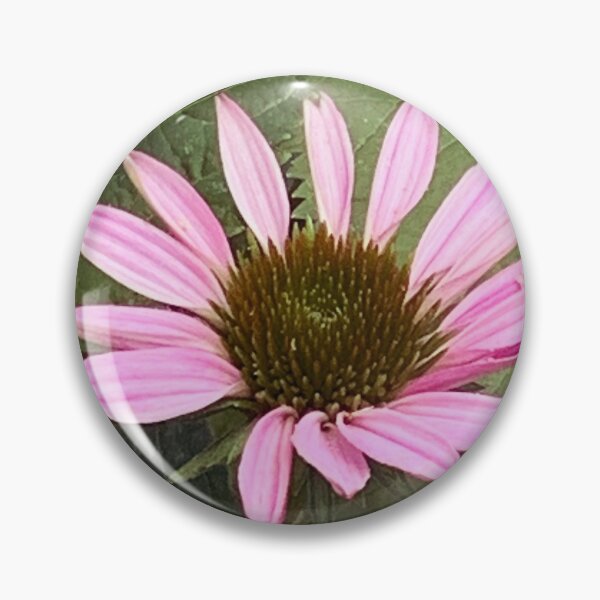 Item preview, Blooming Echinacea  designed and sold by DaisyGirlDesign.