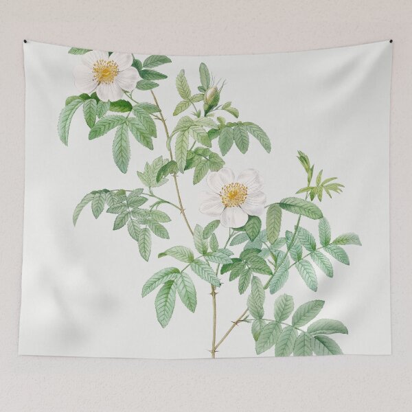 Item preview, Les Roses by Pierre-Joseph Redouté designed and sold by EsotericBotanic.