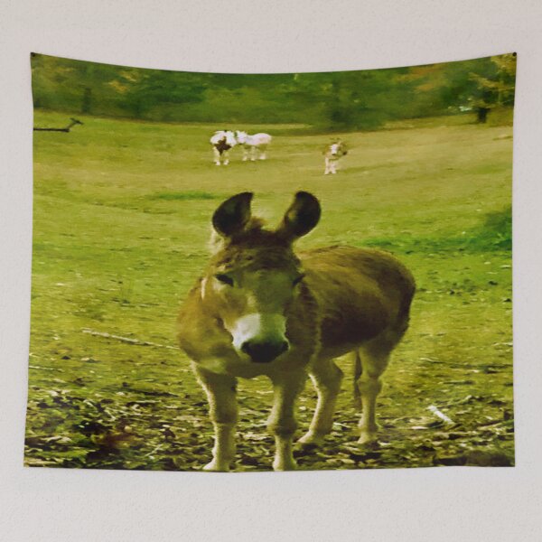 Item preview, Animal Farm Background Stand Out Donkey Sauce Too Hot to Beat Its Ok to Be Alone Sometimes Meditation designed and sold by NadeenInspires.