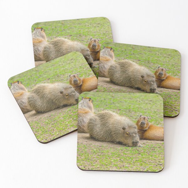 Item preview, Capy and the kids sunbathing designed and sold by Dalyndigital Photography.