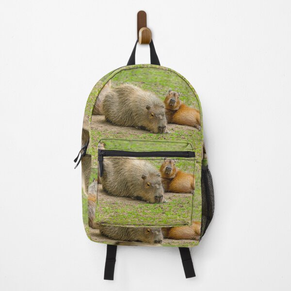 Guinea 2024 pig rucksack