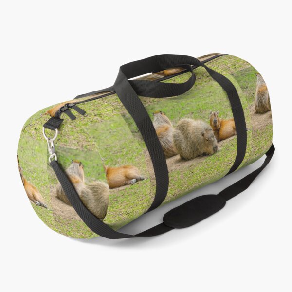 Item preview, Capy and the kids sunbathing designed and sold by Dalyndigital Photography.