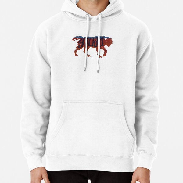 Pullover Life is Strange 2 Sean Diaz Hoodie - Jackets Masters