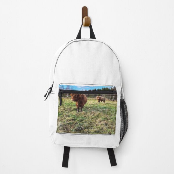 Item preview, Scottish Highland Cattle Bulls 2591 designed and sold by SaarelaHighland.