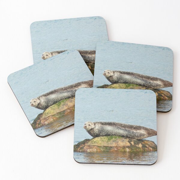 Item preview, Balance designed and sold by Pebbles on the Beach.