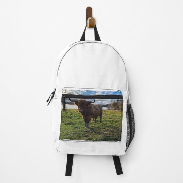 Item preview, Scottish Highland Cattle Bull 2592 designed and sold by SaarelaHighland.