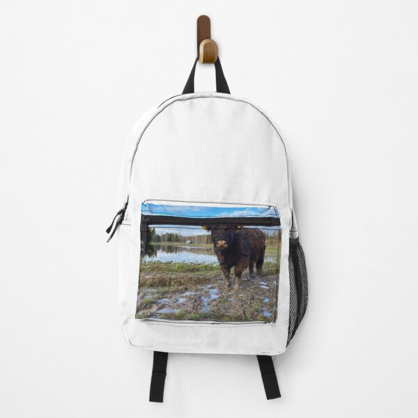 Item preview, Scottish Highland Cattle Bull 2593 designed and sold by SaarelaHighland.