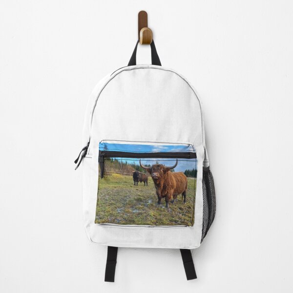 Item preview, Scottish Highland Cattle Bulls 2594 designed and sold by SaarelaHighland.
