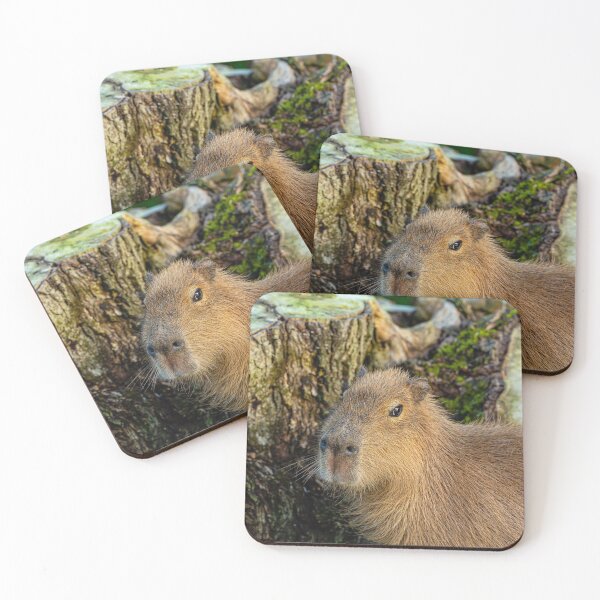 Item preview, Just watching the world go by designed and sold by Dalyndigital Photography.