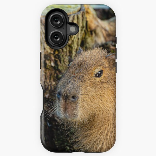 Item preview, Just watching the world go by designed and sold by OwlOccasions.